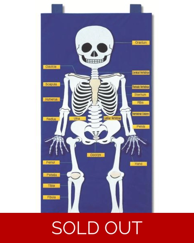 Skeleton Chart